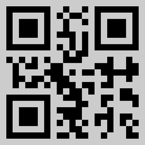 Colored QR Code